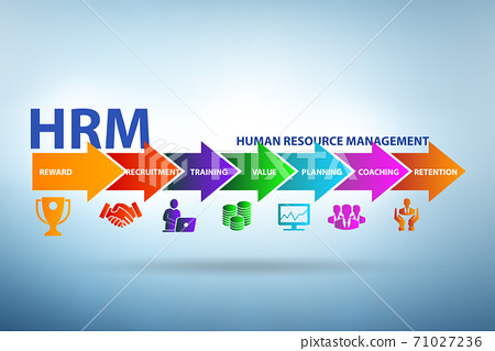 Human Resource Management| BMgt in THM | Y3 S1 – BATCH IFSL 20-01