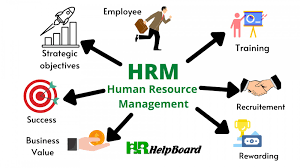 Human Resources Management  | BSc ITML (Y2 S1) | BATCH 21-16